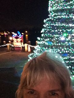 Marlene Rose, Crab Christmas Tree, Chesapeake City
